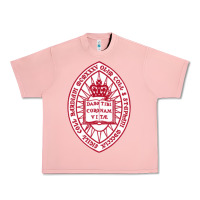 Salmon bard college Urban Heavy Tee - linhVisuals
