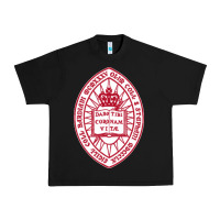 Black bard college Urban Heavy Tee - linhVisuals