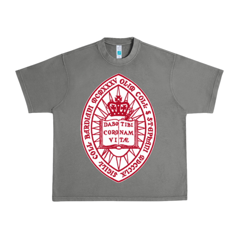 Bard College Urban Heavy Tee by linhVisuals | Teevron