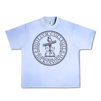 Grape Ice dickinson college Urban Heavy Tee - linhVisuals