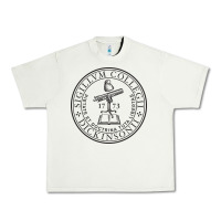 Dickinson College Urban Heavy Tee | Teevron