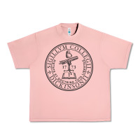 Salmon dickinson college Urban Heavy Tee - linhVisuals