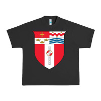Pigment Black Rensselaer Polytechnic Institute Urban Heavy Tee - linhVisuals