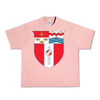 Salmon Rensselaer Polytechnic Institute Urban Heavy Tee - linhVisuals
