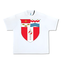 White Rensselaer Polytechnic Institute Urban Heavy Tee - linhVisuals