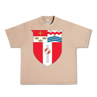 Burro Rensselaer Polytechnic Institute Urban Heavy Tee - linhVisuals