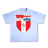 Grape Ice Rensselaer Polytechnic Institute Urban Heavy Tee - linhVisuals