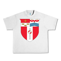 Lunar Rock Rensselaer Polytechnic Institute Urban Heavy Tee - linhVisuals