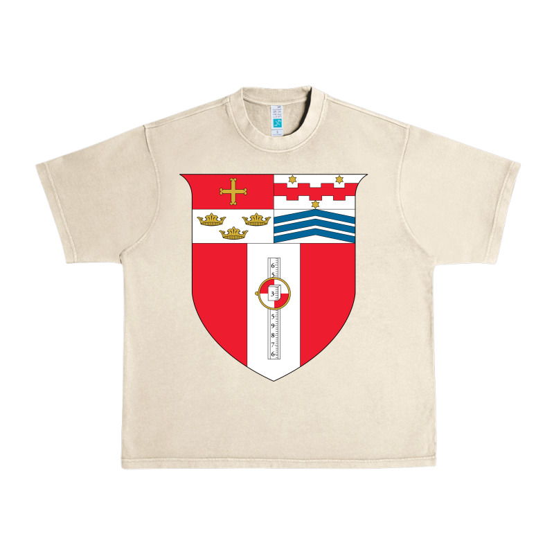 Rensselaer Polytechnic Institute Urban Heavy Tee by linhVisuals | Teevron