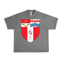 Tornado Rensselaer Polytechnic Institute Urban Heavy Tee - linhVisuals