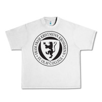 Lunar Rock St. Olaf College Urban Heavy Tee - linhVisuals