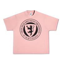 Salmon St. Olaf College Urban Heavy Tee - linhVisuals
