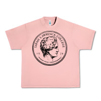 Salmon Sarah Lawrence College Urban Heavy Tee - linhVisuals