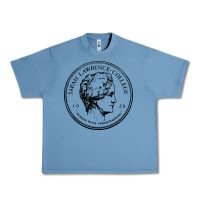 Pebble Blue Sarah Lawrence College Urban Heavy Tee - linhVisuals