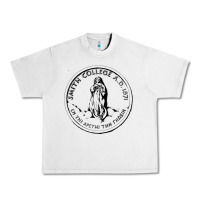 Lunar Rock Smith College Urban Heavy Tee - linhVisuals
