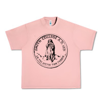Salmon Smith College Urban Heavy Tee - linhVisuals