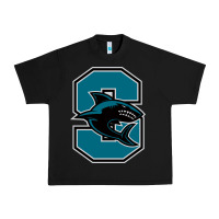 Santiago High School Urban Heavy Tee | Teevron