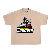 Burro the-adirondack-thunder-pen Urban Heavy Tee - linhVisuals