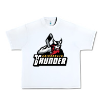 The-adirondack-thunder-pen Urban Heavy Tee | Teevron