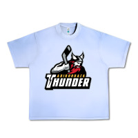 The-adirondack-thunder-pen Urban Heavy Tee | Teevron