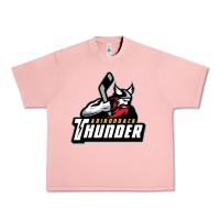 Salmon the-adirondack-thunder-pen Urban Heavy Tee - linhVisuals