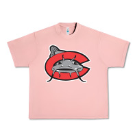 Salmon carolina mudcats Urban Heavy Tee - linhVisuals