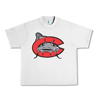 Lunar Rock carolina mudcats Urban Heavy Tee - linhVisuals