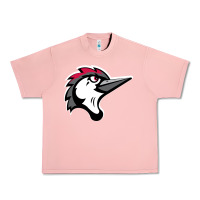 Salmon fayetteville woodpeckers Urban Heavy Tee - linhVisuals