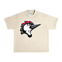Sandshell fayetteville woodpeckers Urban Heavy Tee - linhVisuals