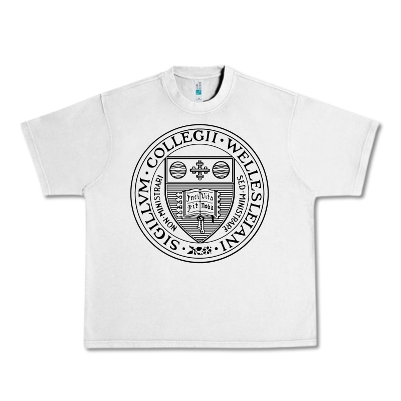 Wellesley College Urban Heavy Tee by linhVisuals | Teevron