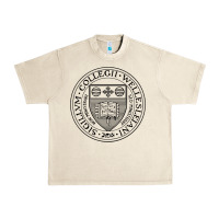 Sandshell Wellesley College Urban Heavy Tee - linhVisuals