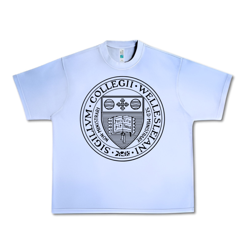 Wellesley College Urban Heavy Tee by linhVisuals | Teevron