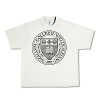 Pistachio Wellesley College Urban Heavy Tee - linhVisuals