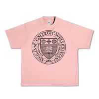 Salmon Wellesley College Urban Heavy Tee - linhVisuals