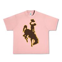 Salmon wyoming athletics Urban Heavy Tee - linhVisuals