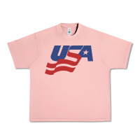 Salmon usa hockey simple Urban Heavy Tee - linhVisuals