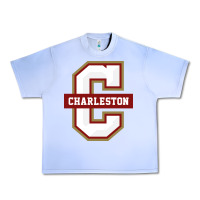 Grape Ice the charleston cougars Urban Heavy Tee - linhVisuals