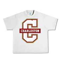Lunar Rock the charleston cougars Urban Heavy Tee - linhVisuals