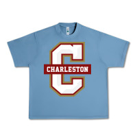 Pebble Blue the charleston cougars Urban Heavy Tee - linhVisuals