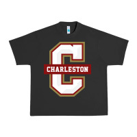Pigment Black the charleston cougars Urban Heavy Tee - linhVisuals