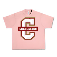 Salmon the charleston cougars Urban Heavy Tee - linhVisuals