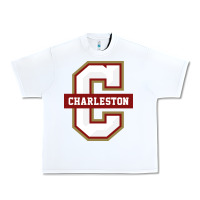 The Charleston Cougars Urban Heavy Tee | Teevron