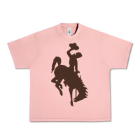 Salmon wyoming athletics Urban Heavy Tee - linhVisuals