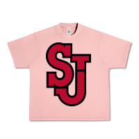 Salmon st. john's red Urban Heavy Tee - linhVisuals