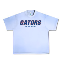 Grape Ice GATORS BASEBALL Urban Heavy Tee - linhVisuals