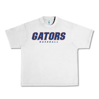 Lunar Rock GATORS BASEBALL Urban Heavy Tee - linhVisuals