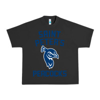 Pigment Black #st peters peacocks Urban Heavy Tee - linhVisuals
