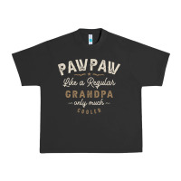 Pigment Black Mens Pawpaw Like a Regular Grandpa Funny Fathers Day Urban Heavy Tee - linhVisuals