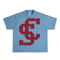 Pebble Blue santa clara br Urban Heavy Tee - linhVisuals