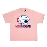Salmon south alabam Urban Heavy Tee - linhVisuals